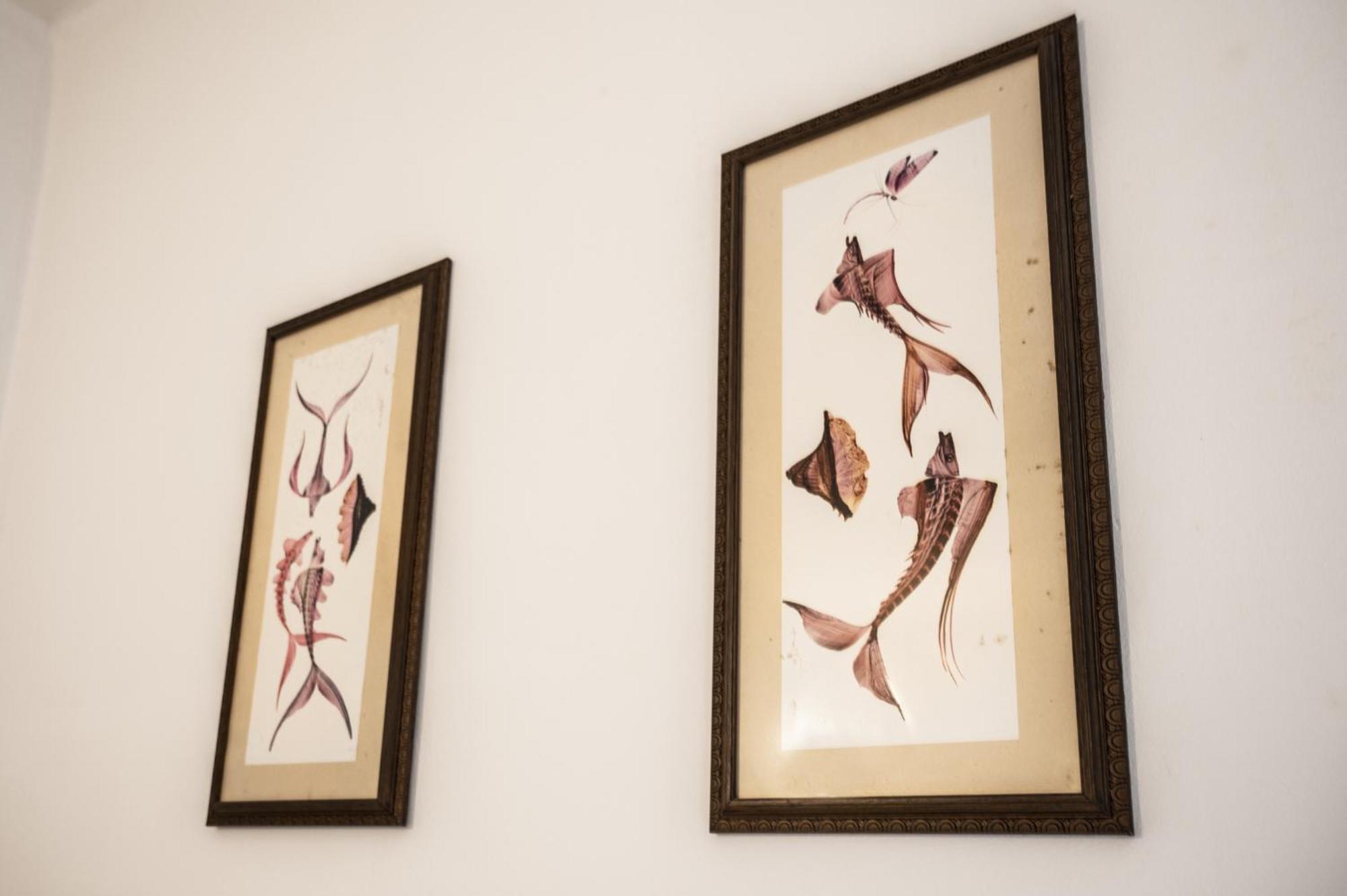Casina Modesta Apartamento